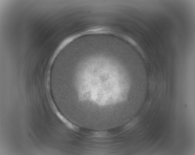 X0000082991421200702011417