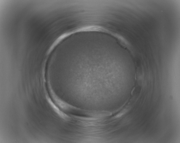 X0000082991422200702011417