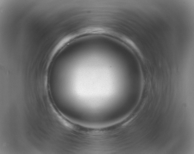 X0000082991424200702011417