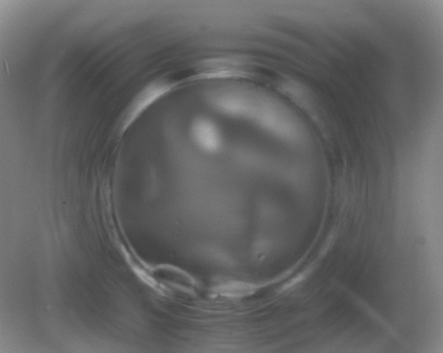 X0000082991425200702011417