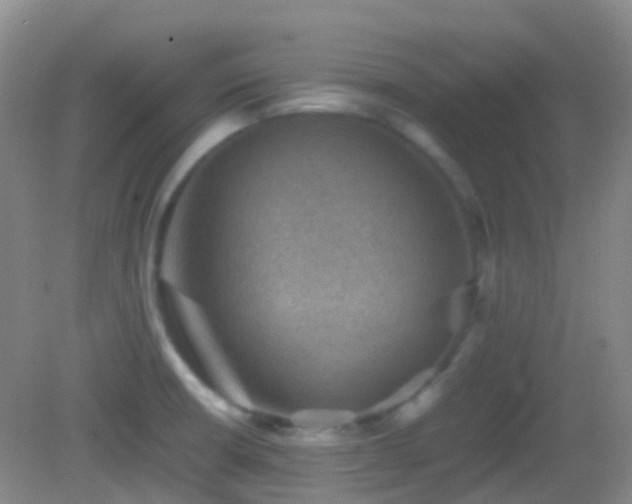 X0000082991426200702011417