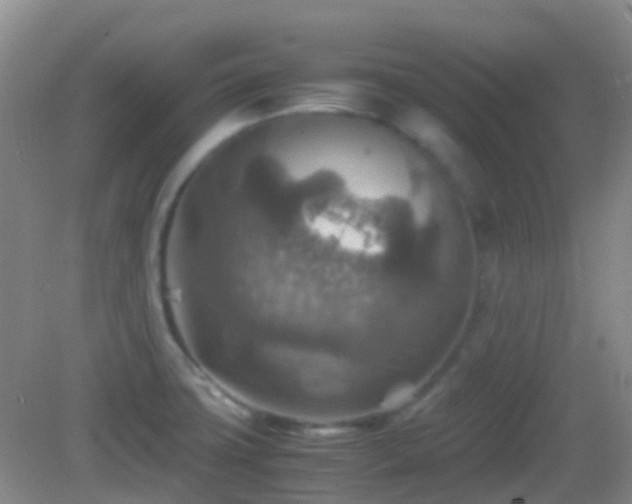 X0000082991427200702011417