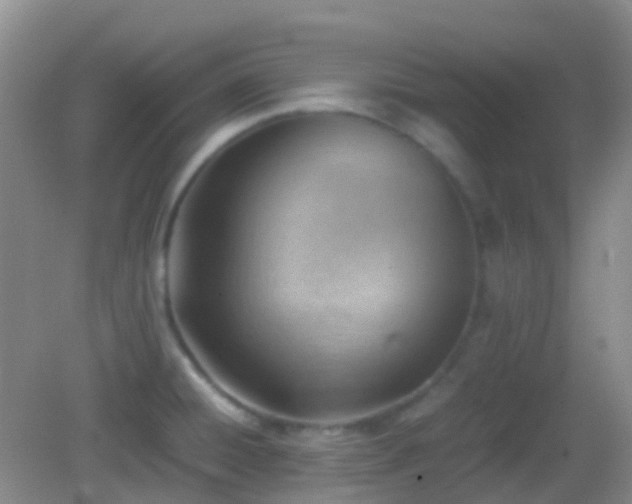 X0000082991428200702011417