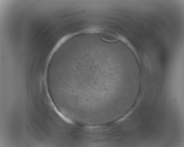 X0000082991429200702011417