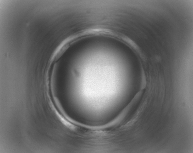 X0000082991430200702011417