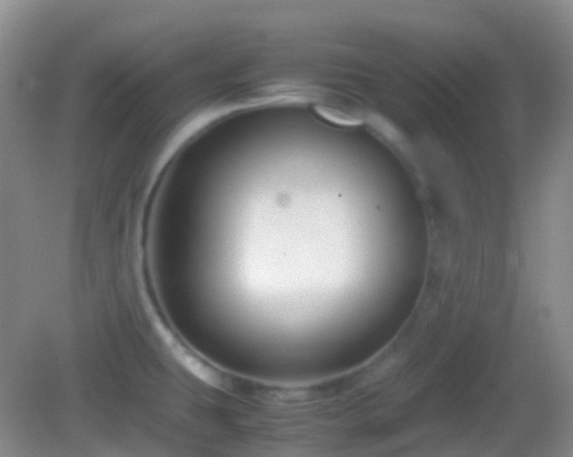 X0000082991431200702011417