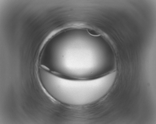 X0000082991432200702011417