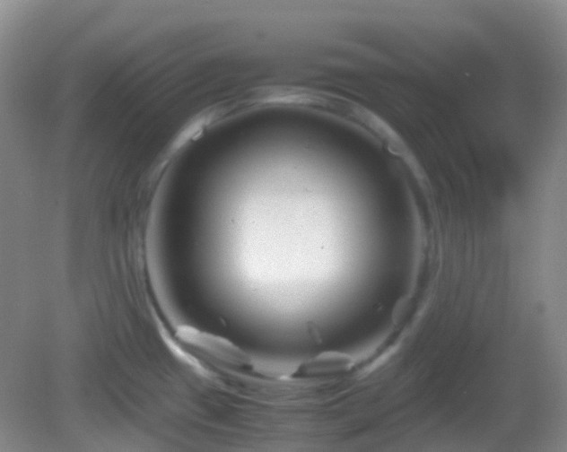 X0000082991433200702011417