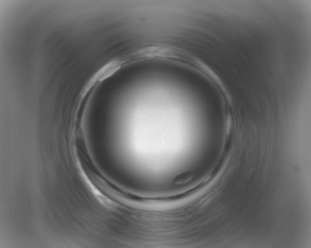 X0000082991434200702011417