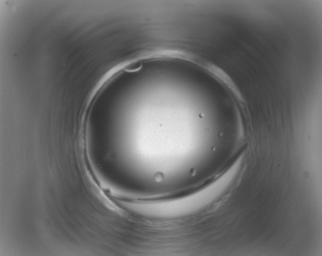 X0000082991436200702011417