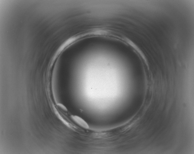 X0000082991437200702011417