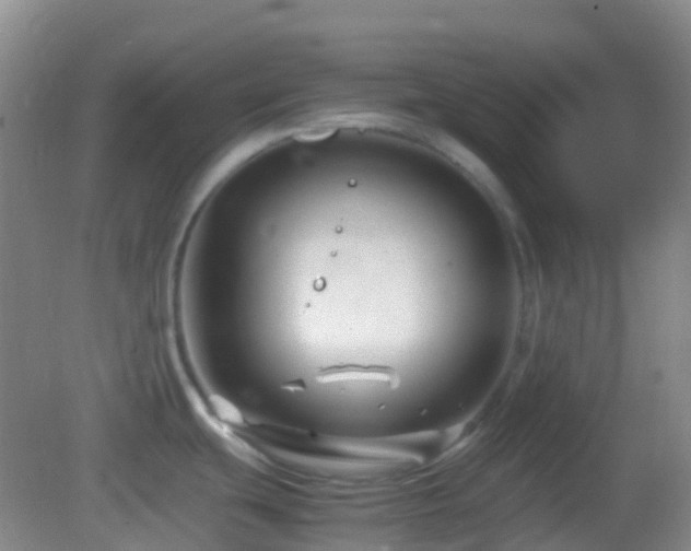 X0000082991439200702011417