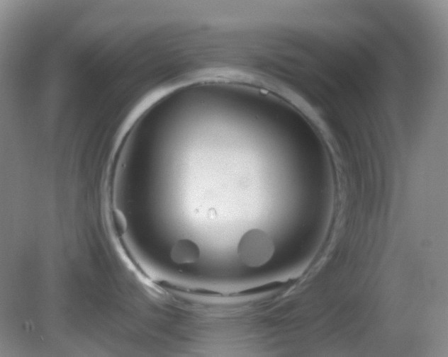 X0000082991440200702011417