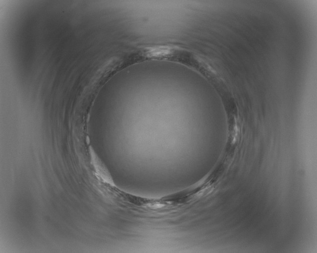 X0000082991441200702011417