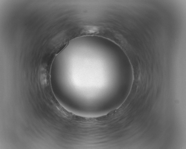 X0000082991442200702011417