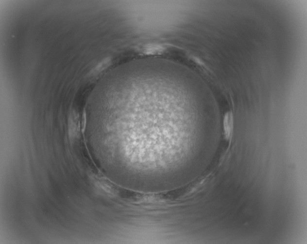 X0000082991443200702011417