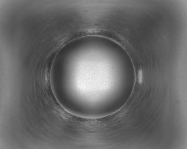 X0000082991444200702011417