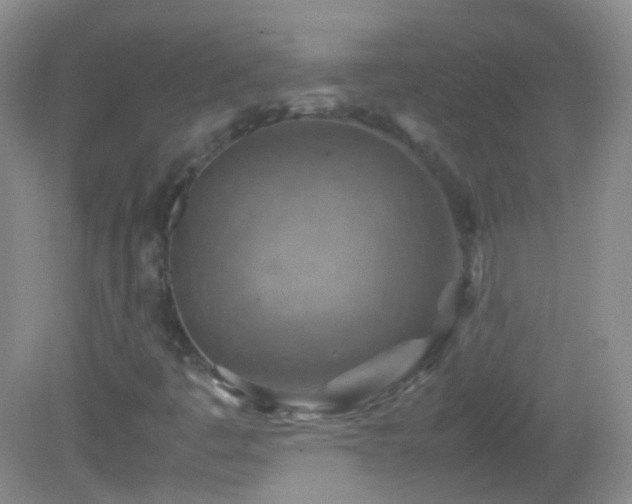 X0000082991445200702011417