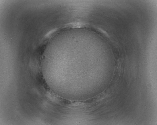 X0000082991446200702011417