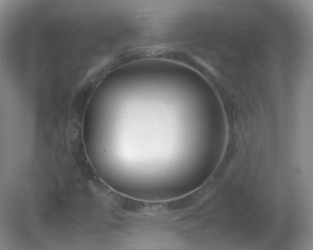 X0000082991447200702011417