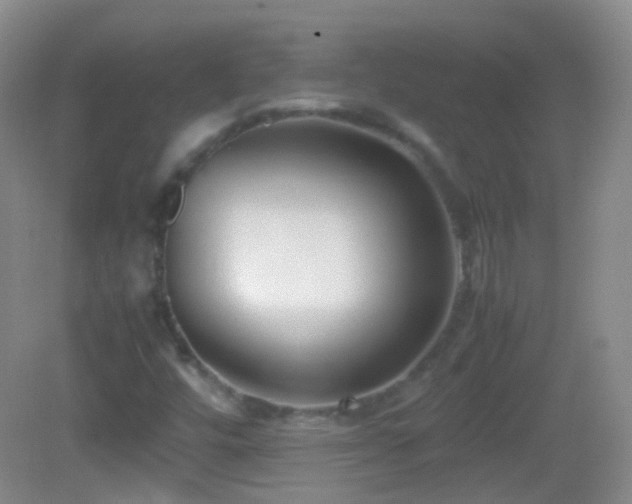 X0000082991448200702011417