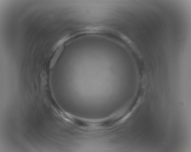 X0000082991449200702011417