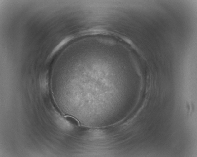 X0000082991450200702011417