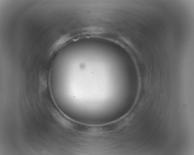 X0000082991451200702011417