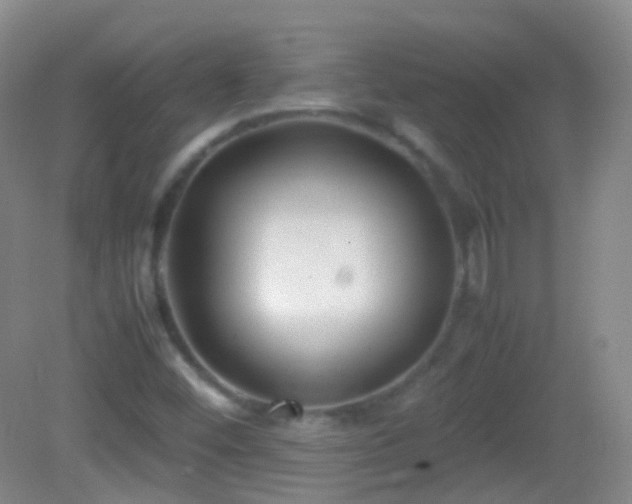 X0000082991452200702011416