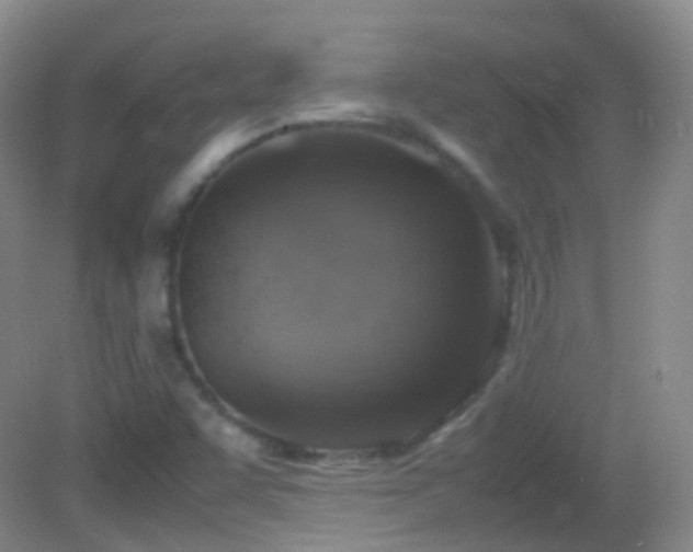 X0000082991455200702011416