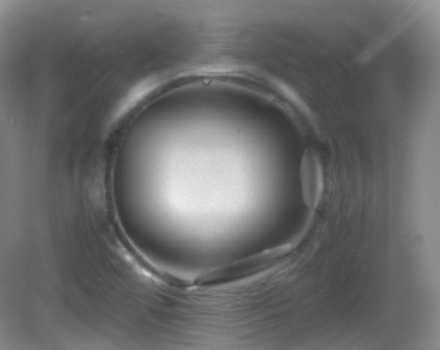 X0000082991456200702011416