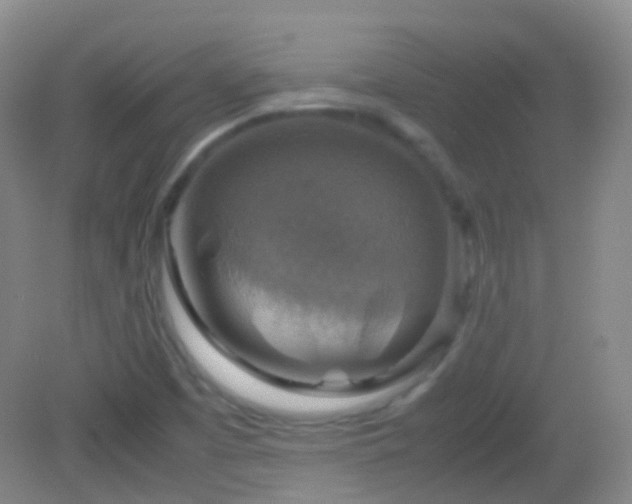 X0000082991457200702011416