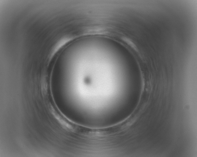 X0000082991458200702011416