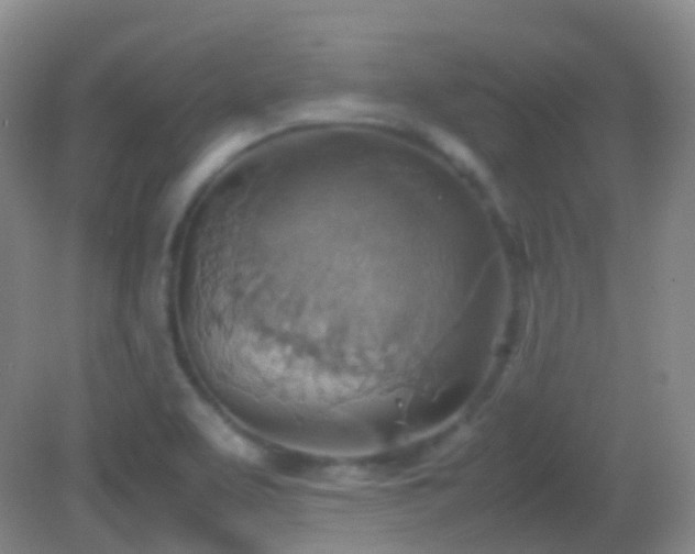 X0000082991463200702011416