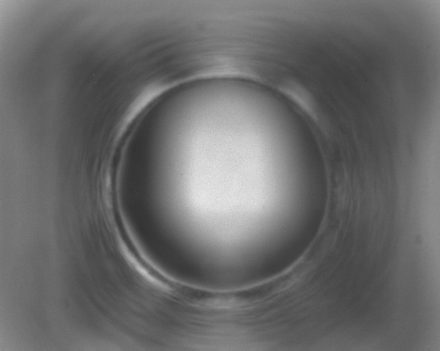 X0000082991468200702011416