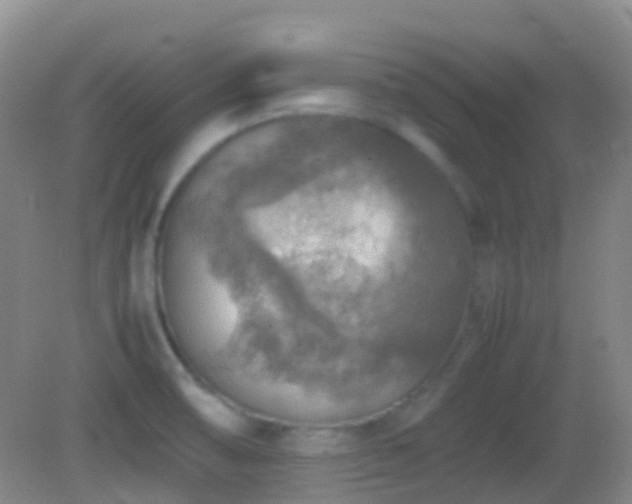 X0000082991474200702011416