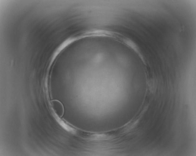 X0000082991482200702011416
