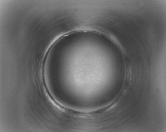 X0000082991484200702011416