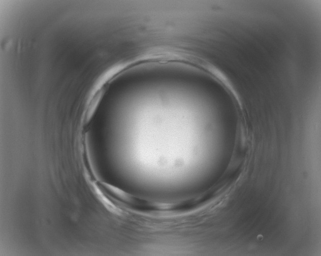 X0000082991485200702011416