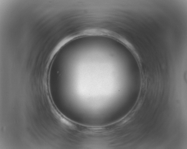 X0000082991486200702011416