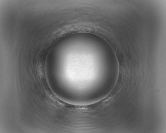 X0000082991490200702011415