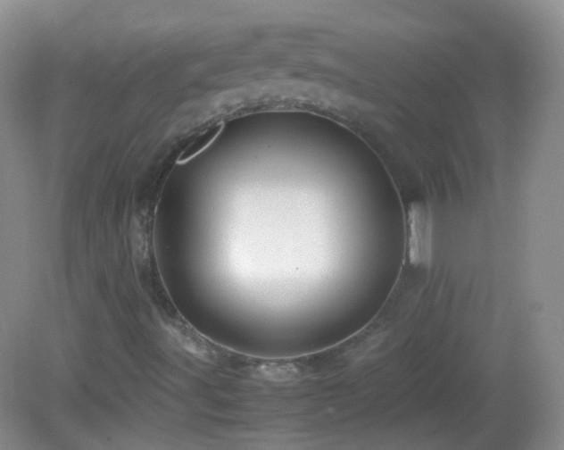 X0000082991491200702011415