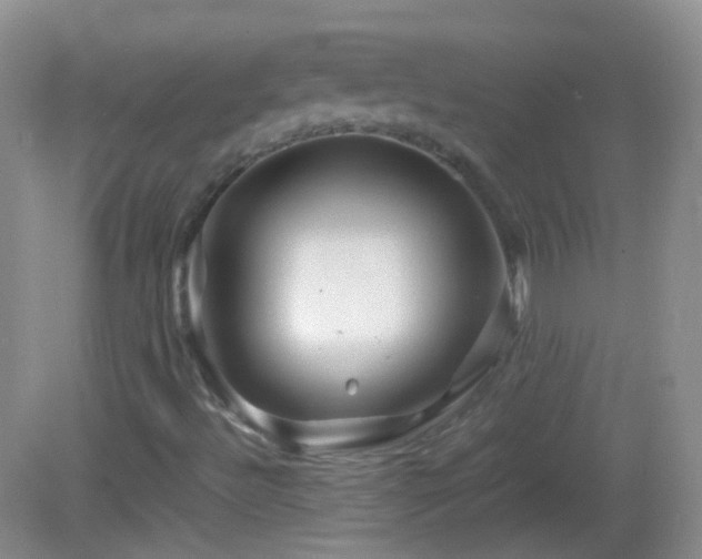 X0000082991492200702011415