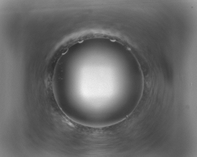 X0000082991495200702011415