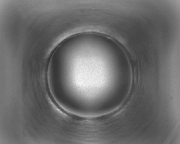 X0000082991500200702011415