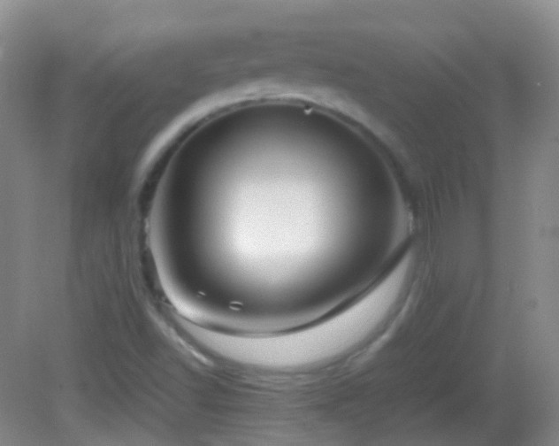 X0000082991502200702011415