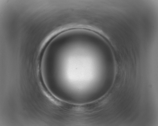 X0000082991511200702011415