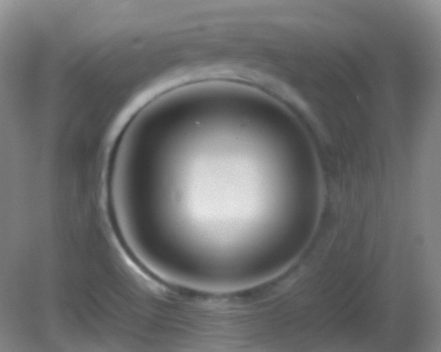 X0000082991512200702011415