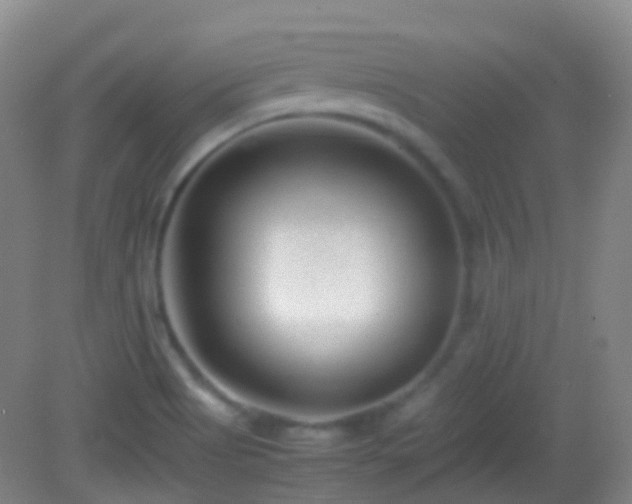 X0000082991513200702011415