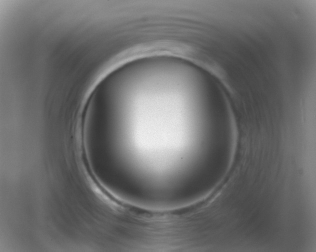 X0000082991516200702011416